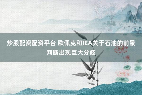 炒股配资配资平台 欧佩克和IEA关于石油的前景判断出现巨大分歧