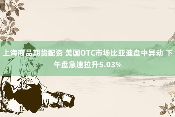 上海商品期货配资 美国OTC市场比亚迪盘中异动 下午盘急速拉升5.03%